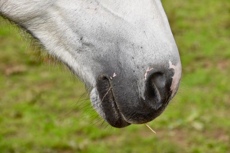 Alternate nostril breathing