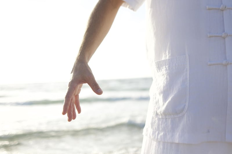 Tai Chi push hands